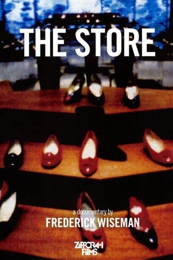 Movie poster for The Store