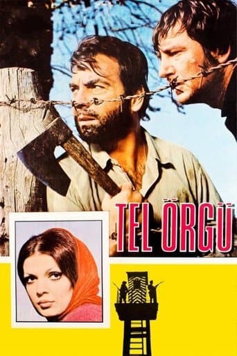 Movie poster for Tel Örgü