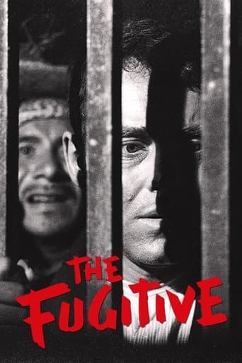 Movie poster for The Fugitive