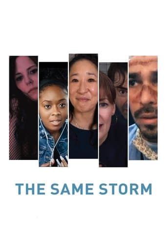 Movie poster for The Same Storm