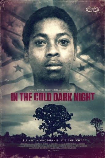 Movie poster for In The Cold Dark Night