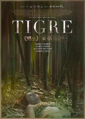 Movie poster for Tigre