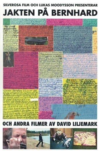 Movie poster for The Search for Bernhard