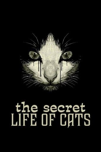 Movie poster for The Secret Life of Cats
