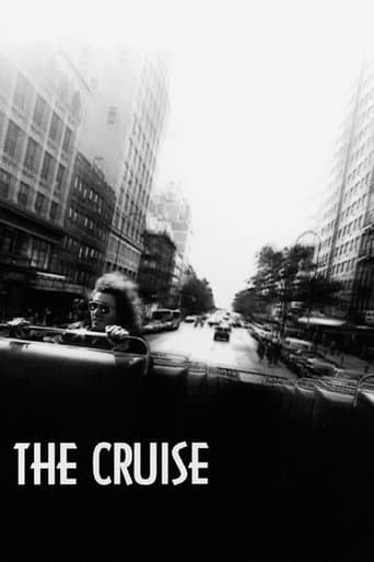 Movie poster for The Cruise