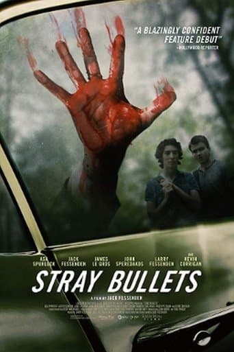 Movie poster for Stray Bullets
