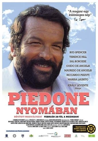 Movie poster for Piedone nyomában