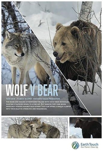 Movie poster for Wolf vs Bear