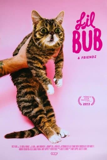 Movie poster for Lil Bub & Friendz