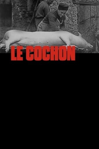 Movie poster for The Pig