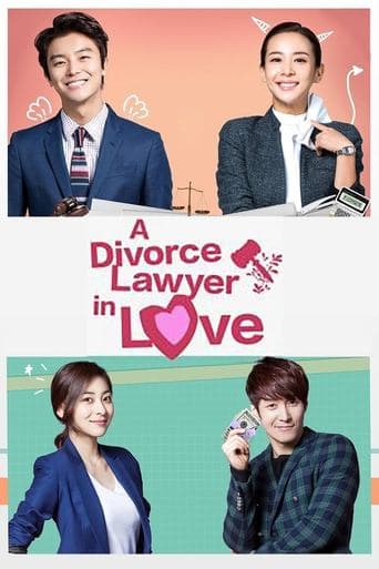 Movie poster for Divorce Lawyer in Love