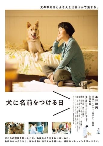 Movie poster for Dogs Without Names