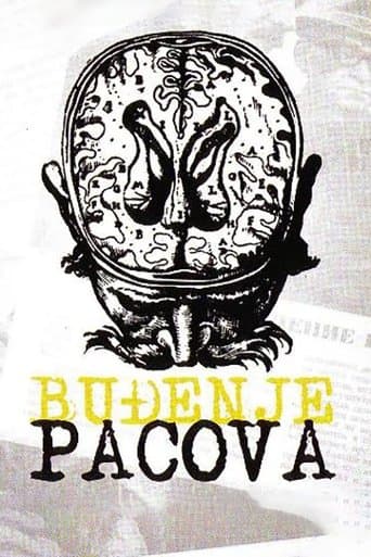 Movie poster for The Rats Woke Up
