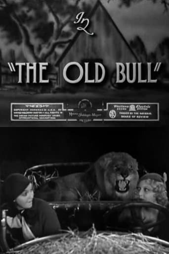 Movie poster for The Old Bull