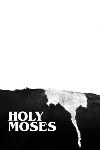 Movie poster for Holy Moses