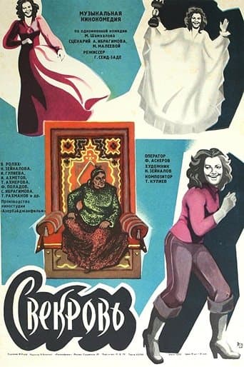Movie poster for The Mother in Law