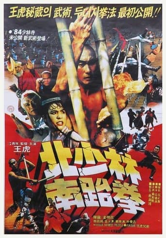 Movie poster for North Shaolin South Taekwon