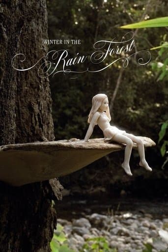 Movie poster for Winter In The Rainforest