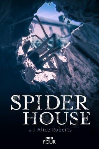 Movie poster for Spider House