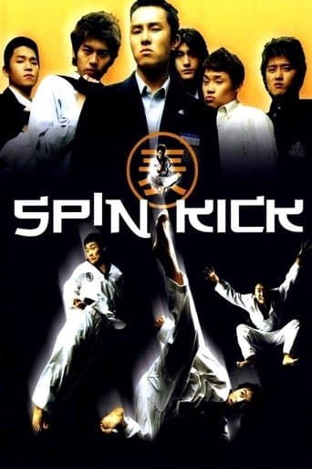 Movie poster for Spin Kick