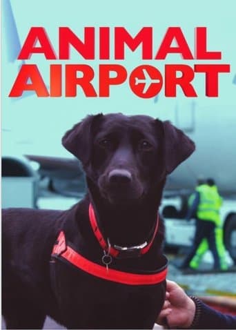 Movie poster for Animal Airport