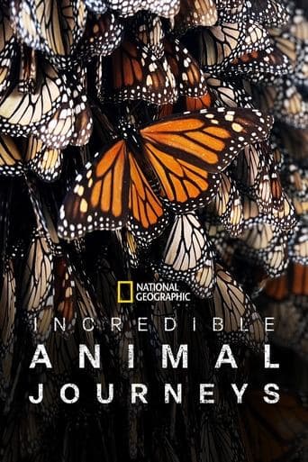 Movie poster for Incredible Animal Journeys