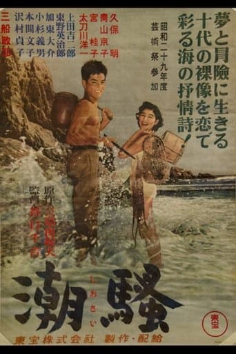 Movie poster for The Surf