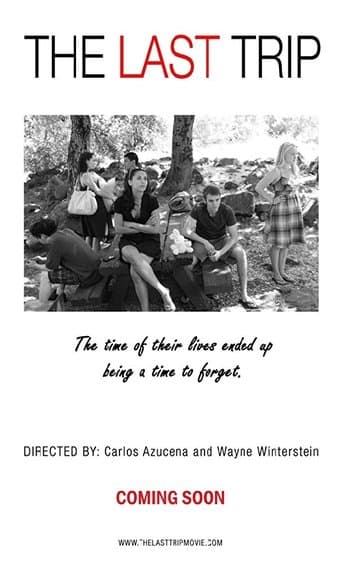 Movie poster for The Last Trip