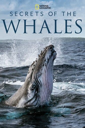 Movie poster for Secrets of the Whales