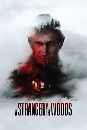 Movie poster for A Stranger in the Woods