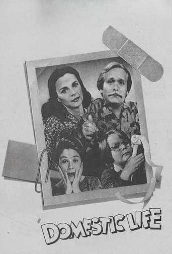 Movie poster for Domestic Life