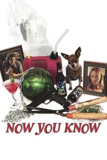 Movie poster for Now You Know