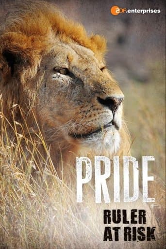 Movie poster for Pride Ruler at Risk