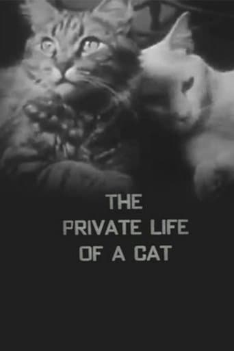 Movie poster for The Private Life of a Cat