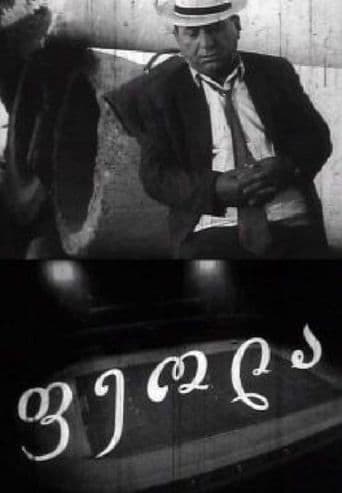 Movie poster for Feola
