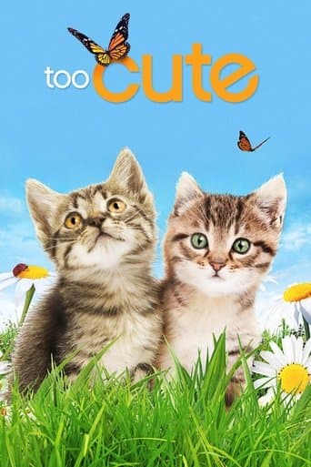 Movie poster for Too Cute