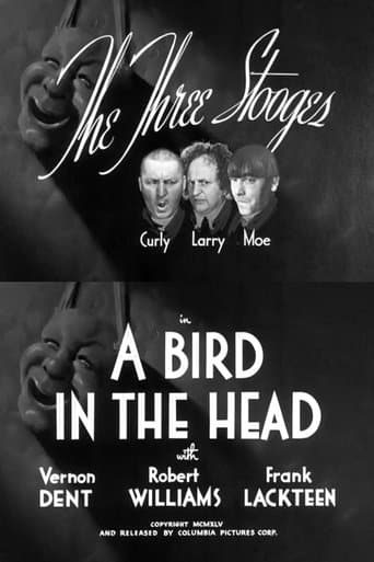 Movie poster for A Bird in the Head