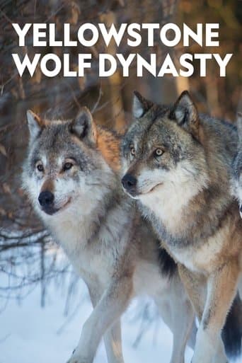 Movie poster for Yellowstone Wolf Dynasty