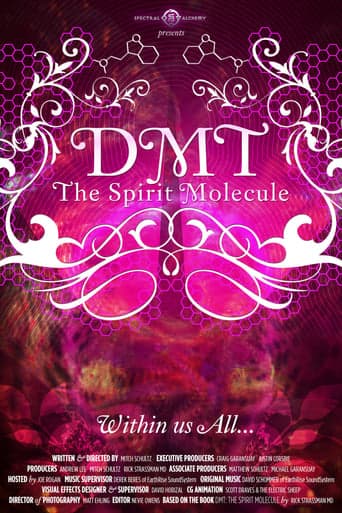 Movie poster for DMT: The Spirit Molecule