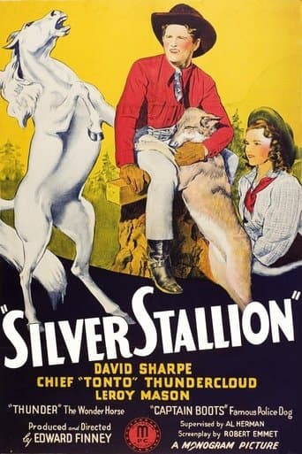 Movie poster for Silver Stallion