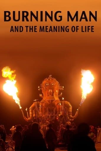 Movie poster for Burning Man and the Meaning of Life