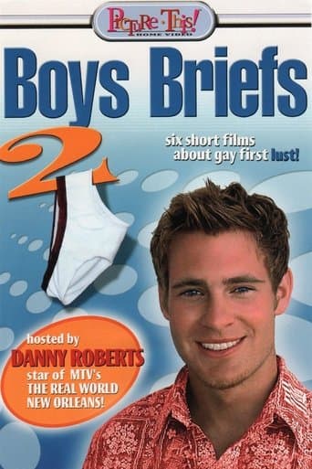 Movie poster for Boys Briefs 2