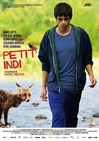 Movie poster for Little Indi