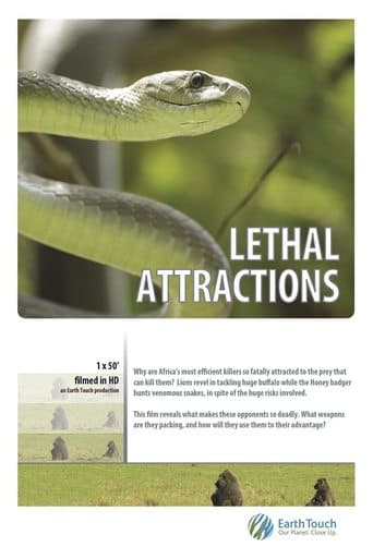 Movie poster for Lethal Attractions