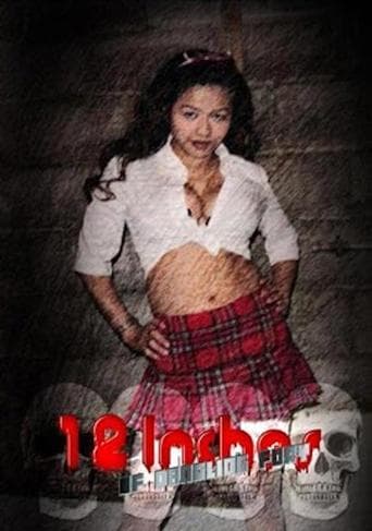 Movie poster for 12 Inches of Dangling Fury