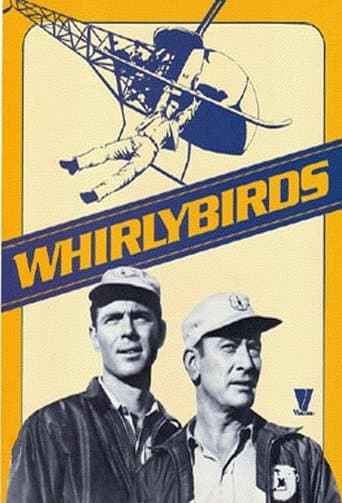 Movie poster for Whirlybirds