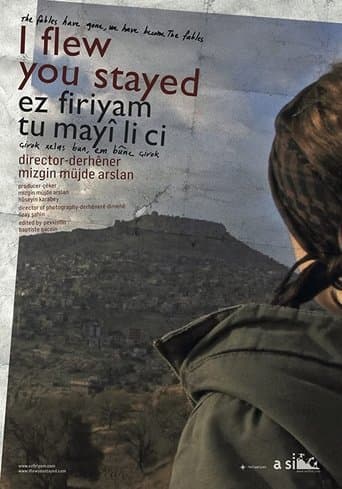 Movie poster for I flew you stayed