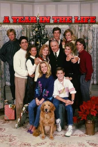 Movie poster for A Year in the Life