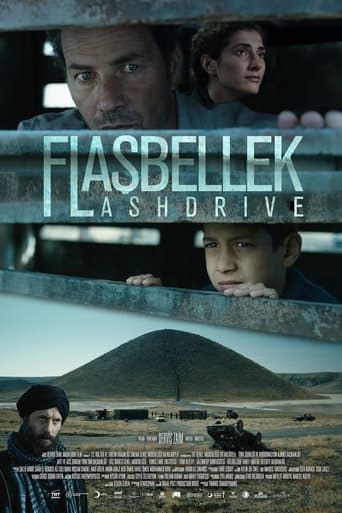 Movie poster for Flashdrive