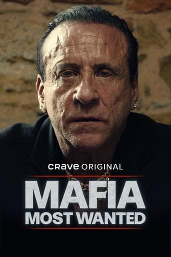 Movie poster for Mafia: Most Wanted